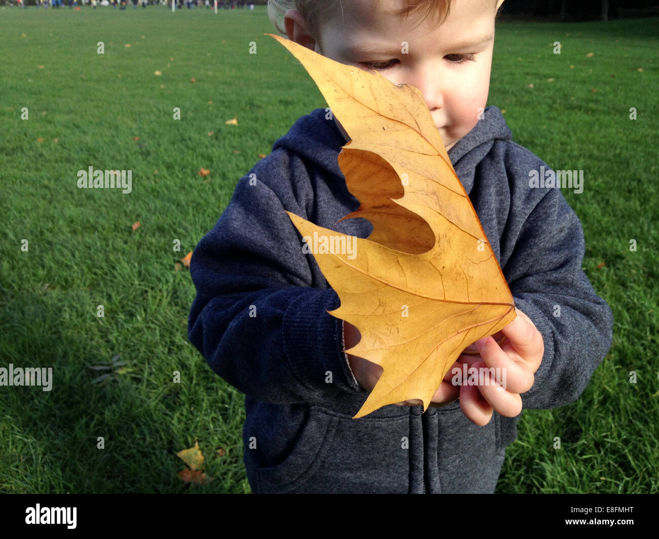 Junge stand im Park hält einen große Herbst Blatt Stockfoto