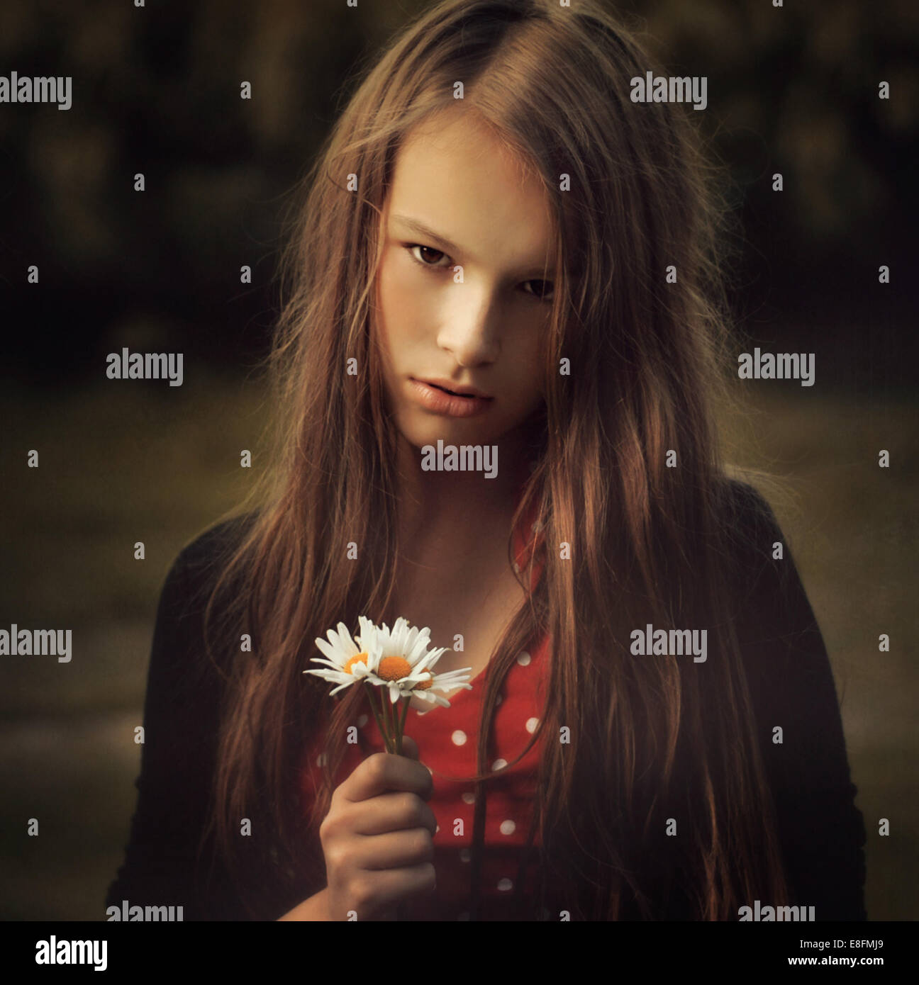 Porträt eines Teenagers mit einem kleinen Haufen Gänseblümchen, Polen Stockfoto