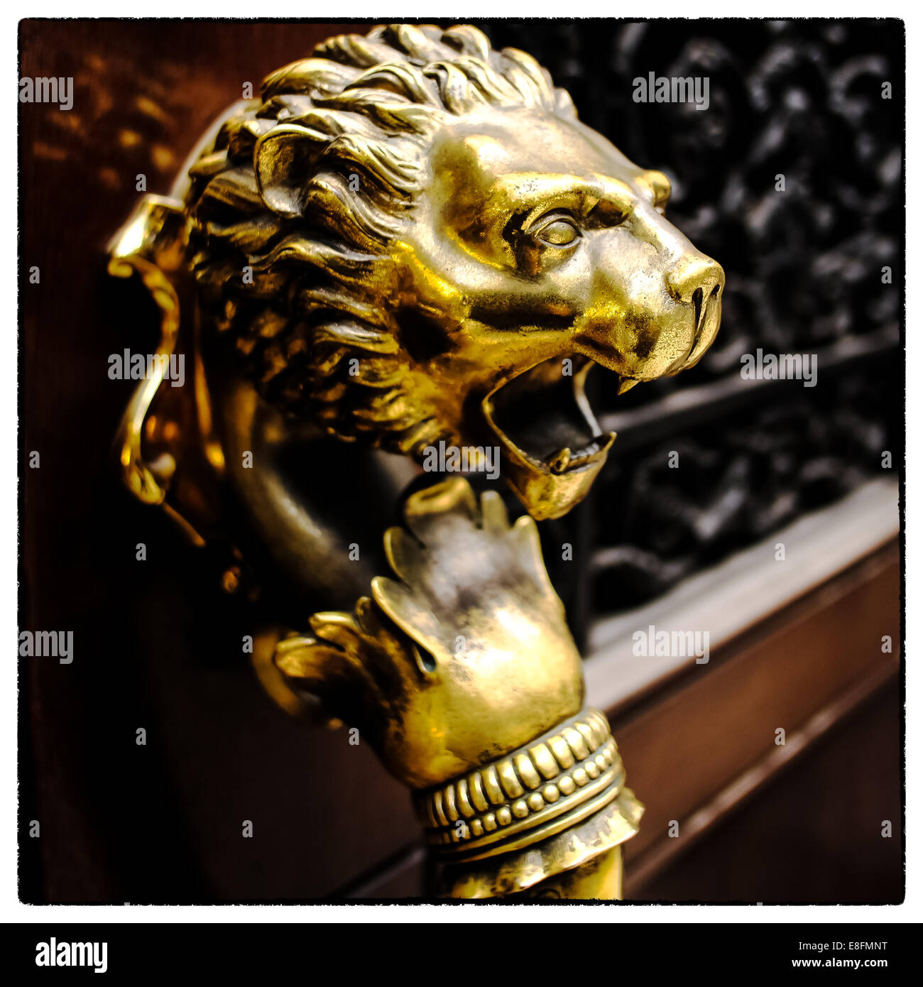USA, New York State, New York City, Nahaufnahme des Goldenen Löwen Stockfoto