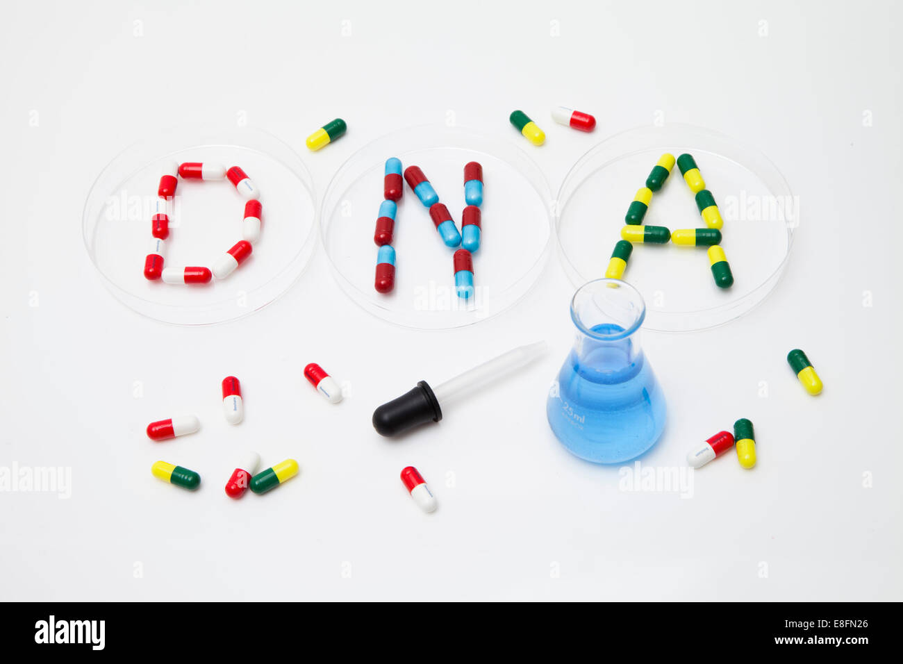 Wort-DNA in Pillen in drei Petrischalen mit konischem Kolben und Pipette geschrieben Stockfoto