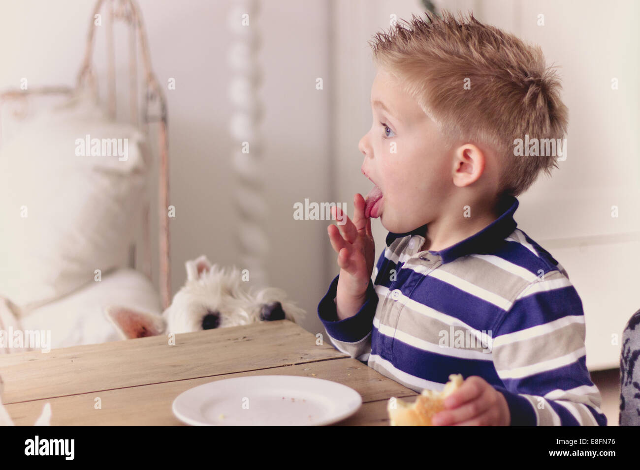 Junge sitzt am Esstisch und isst ein Sandwich Stockfoto