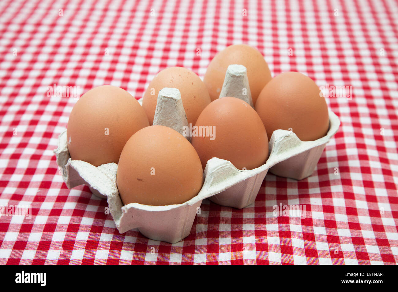 Nahaufnahme von sechs Eiern in einem Eierkarton auf einer karierten Tischdecke Stockfoto