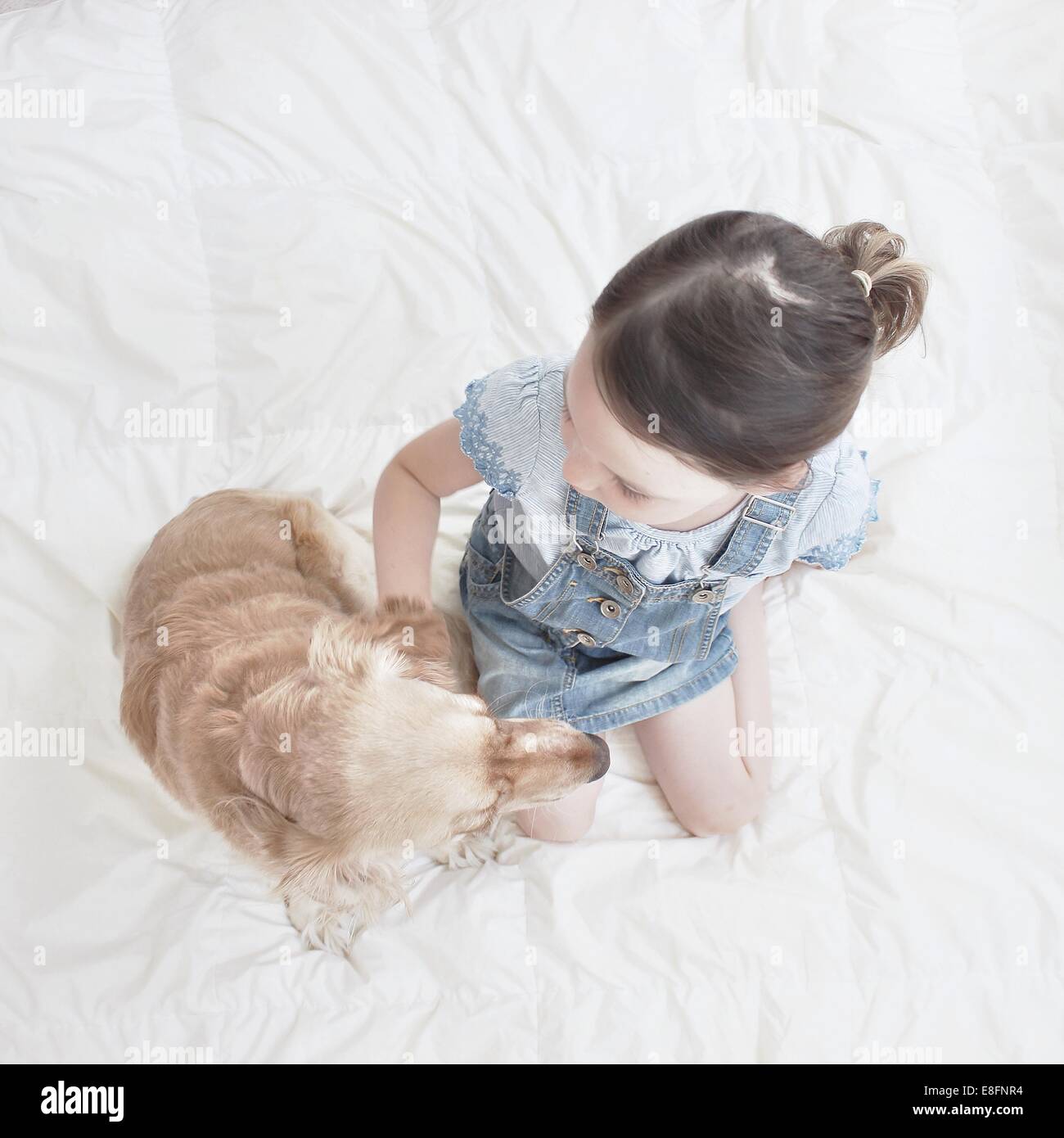 Draufsicht der Mädchen sitzt auf dem Bett mit Hund Stockfoto