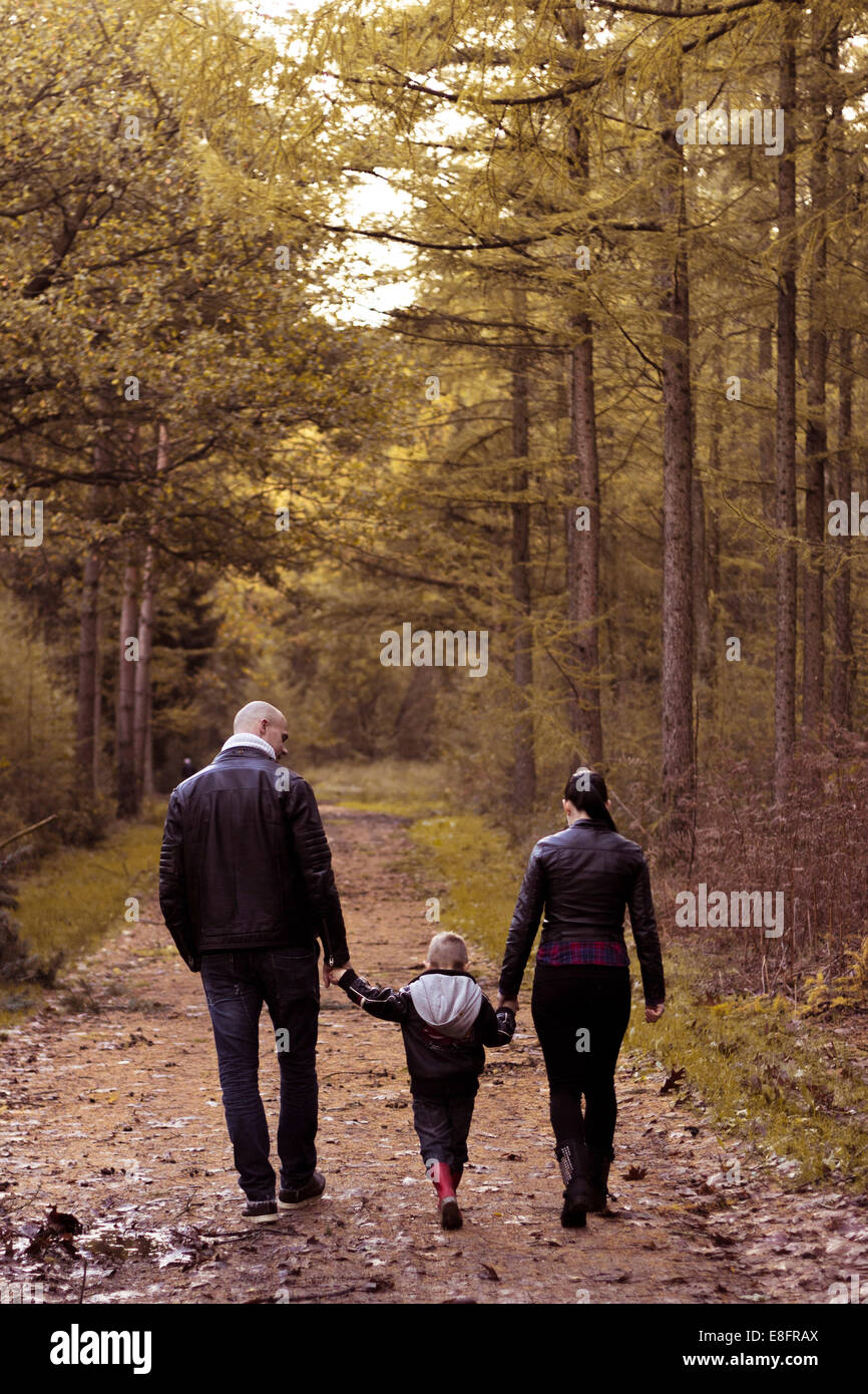 Rückansicht der Familie mit einem Kind Hand in Hand und im Wald spazieren Stockfoto
