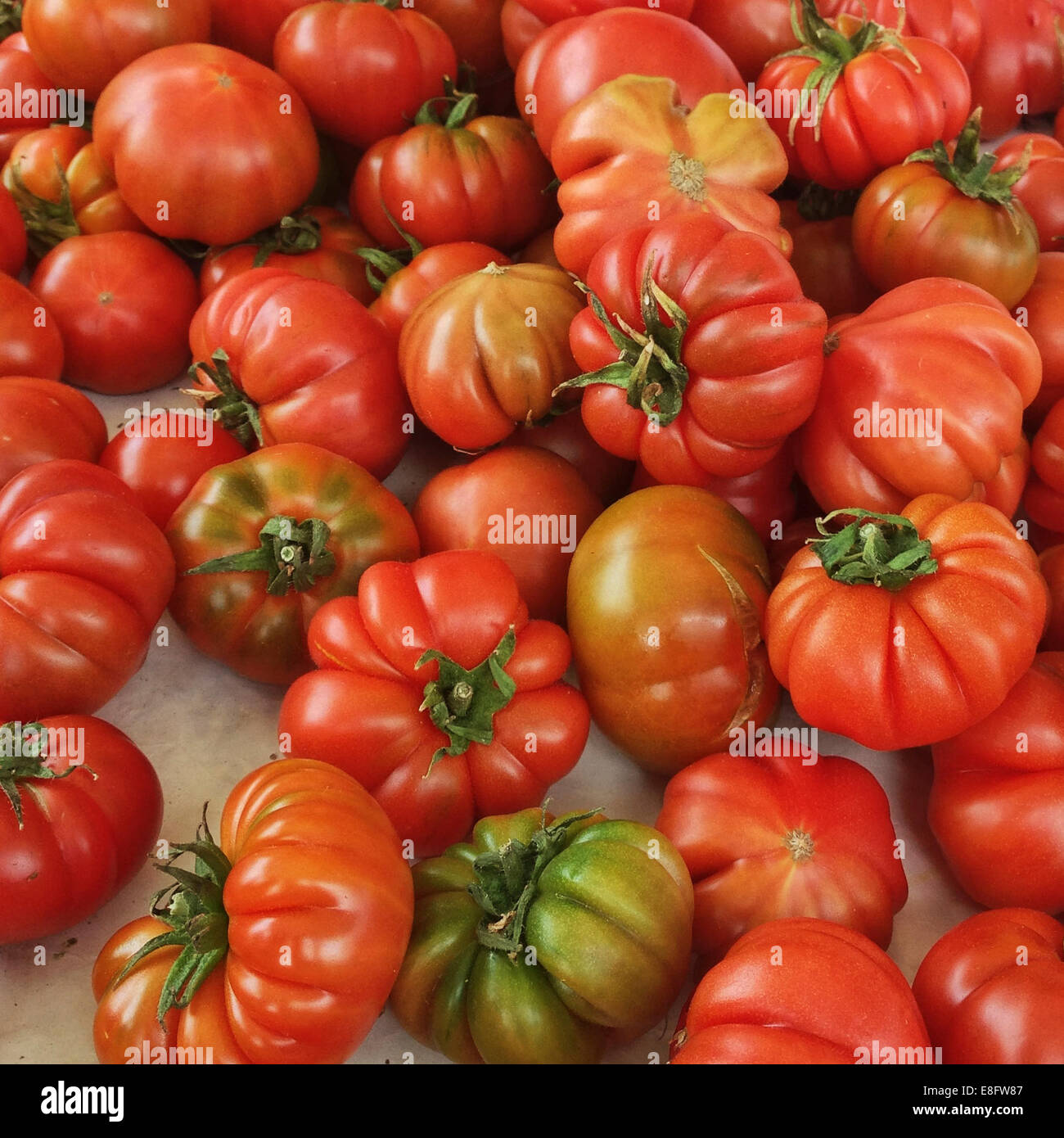 Italien, Toskana, Tomaten am Markt Stockfoto