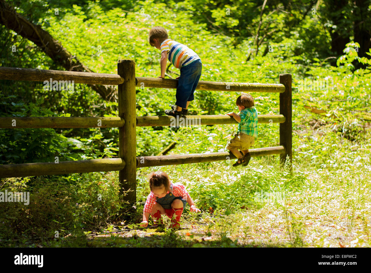 Drei Kinder klettern auf einen Zaun in ländlicher Landschaft, USA Stockfoto