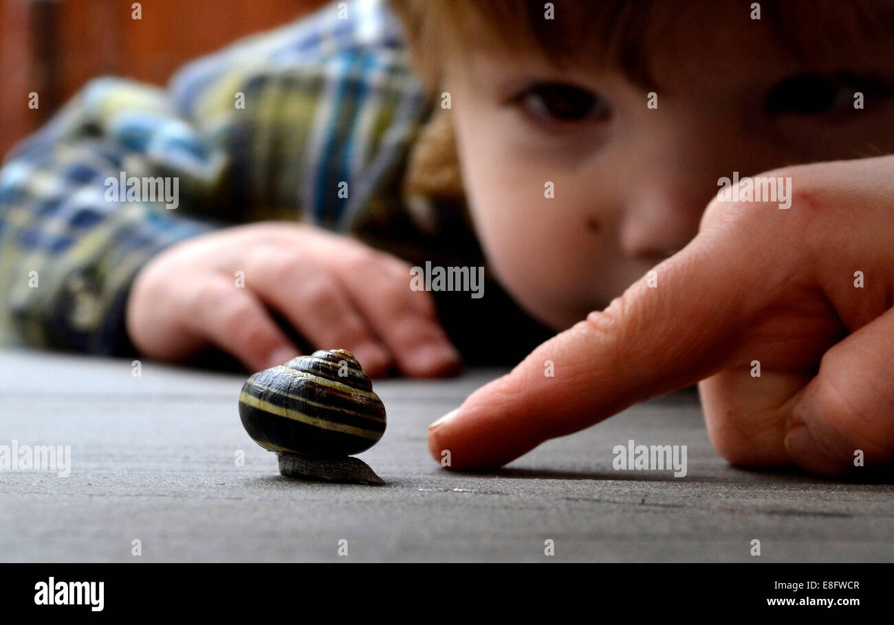 Vater und Sohn betrachten Schnecke (2-3 Jahre) Stockfoto