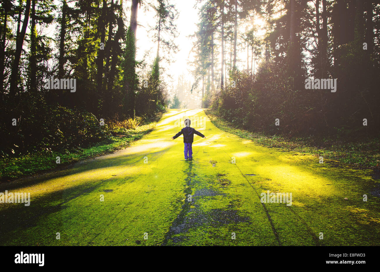 Junge stand im Wald (4-5 Jahre) Stockfoto