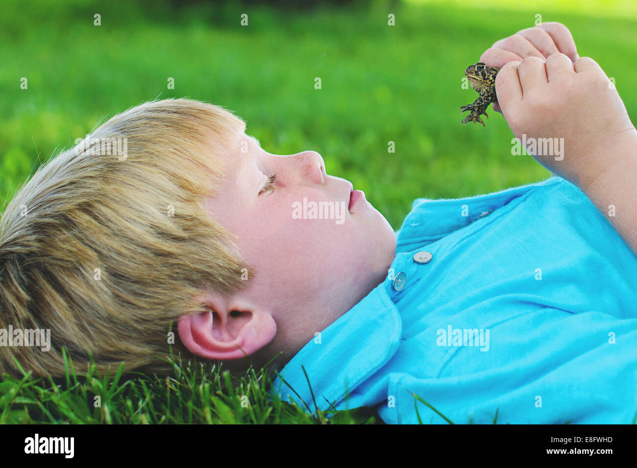 Junge (4-5) Blick auf Frosch Stockfoto