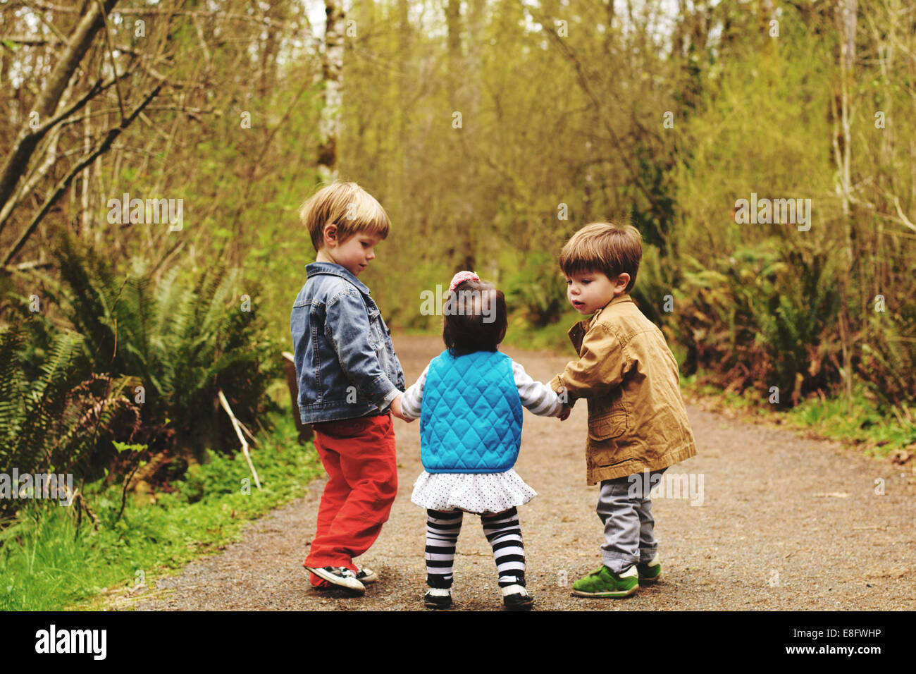 Drei Kinder auf einem Wanderweg durch den Wald, USA Stockfoto