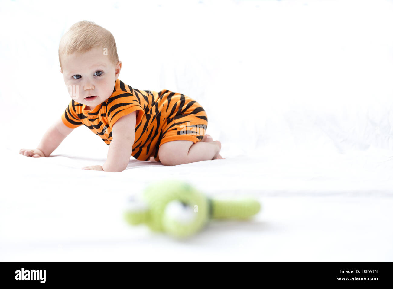 Porträt eines Kleinkindes, das einen Tiger-Babygro trägt Stockfoto