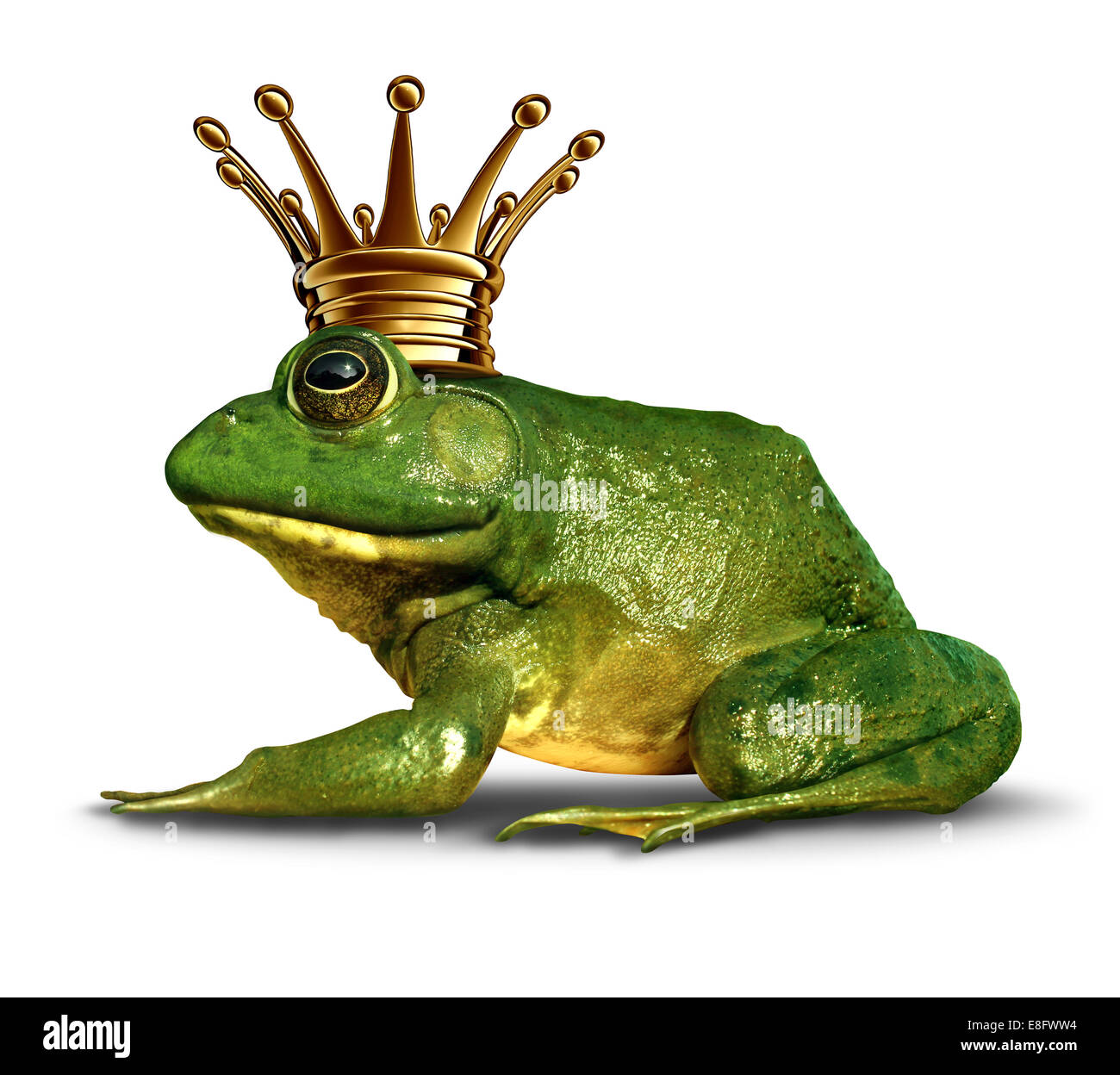 Frosch Prinz Side View-Konzept mit Goldkrone das Märchen Symbol der Veränderung und Transformation von ein Amphibium Stockfoto