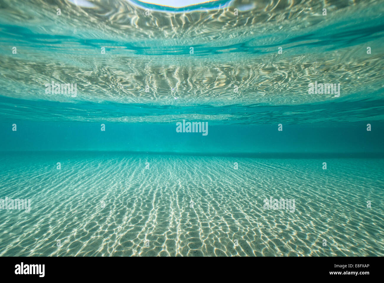 Unterwasser-Blick auf Meer Stockfoto
