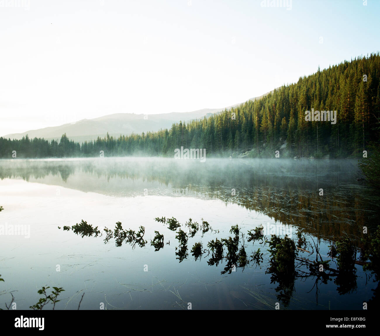 USA, Colorado, Larimer County, Rocky Mountain Nationalpark, Bear Lake bei Sonnenaufgang Stockfoto
