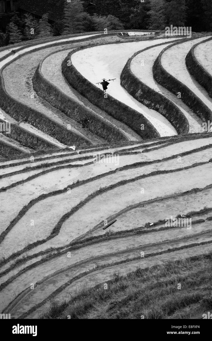Guangxi, China Guilin Stadt, Longsheng verschiedener Nationalitäten autonome Grafschaft, Longji, erhöhten Blick auf Reisfelder Stockfoto