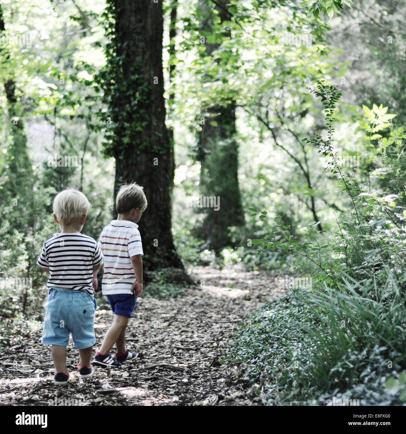 Zwei jungen im Wald Stockfoto