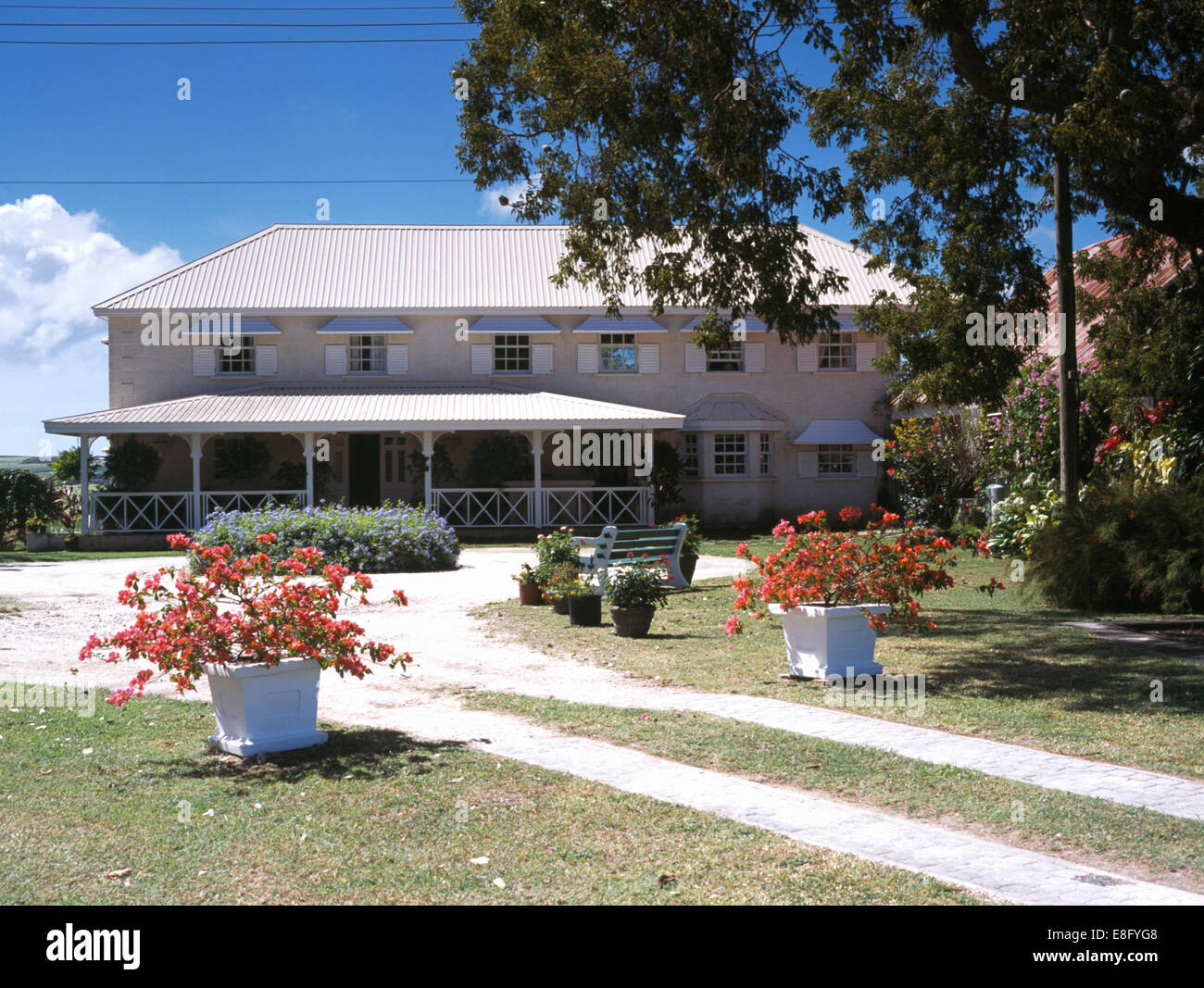 Blühende Sträucher in Töpfen im Garten des Haus im Kolonialstil in den West Indies Stockfoto