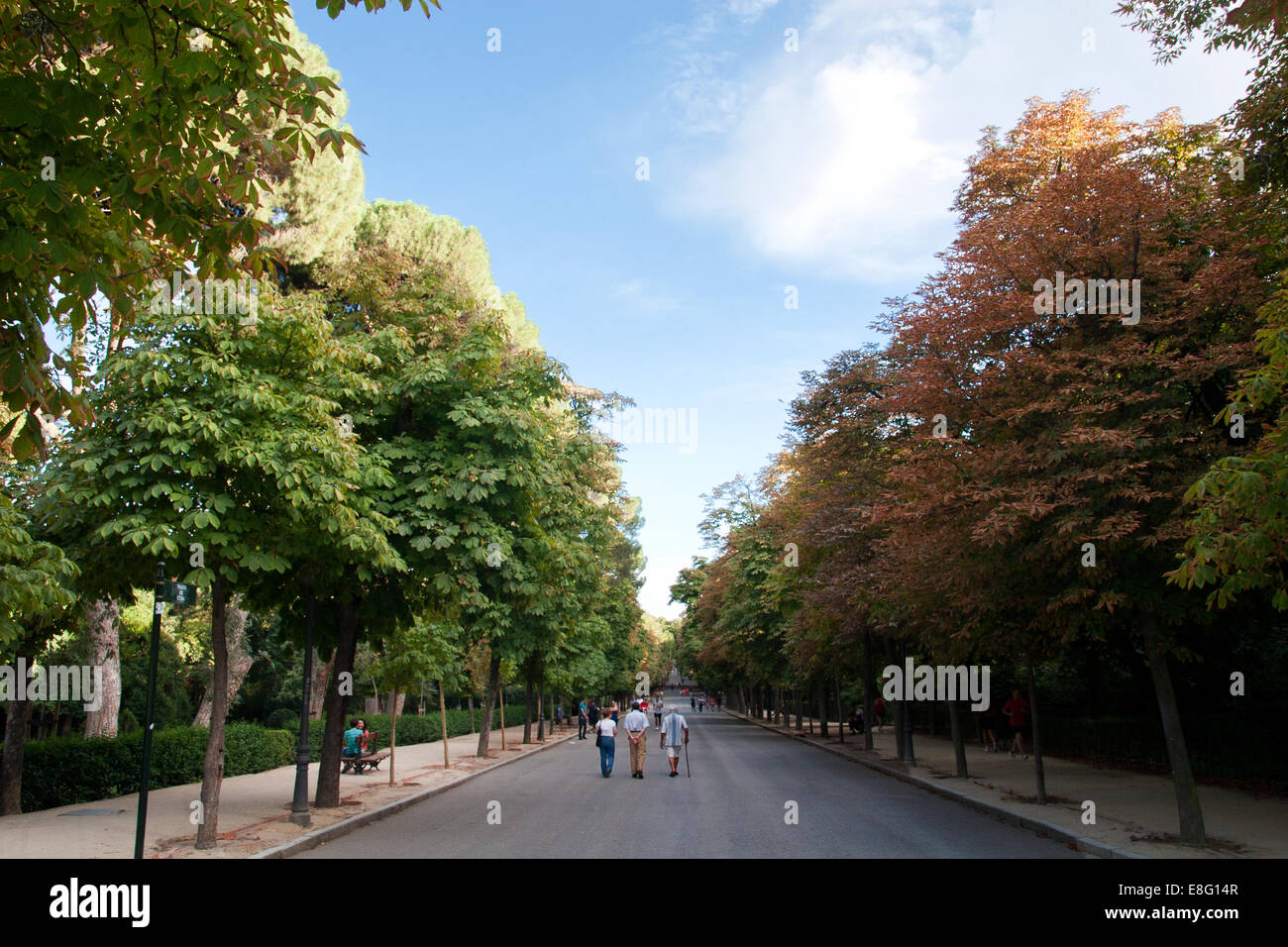 El Buen Retiro Park, Madrid Stockfoto