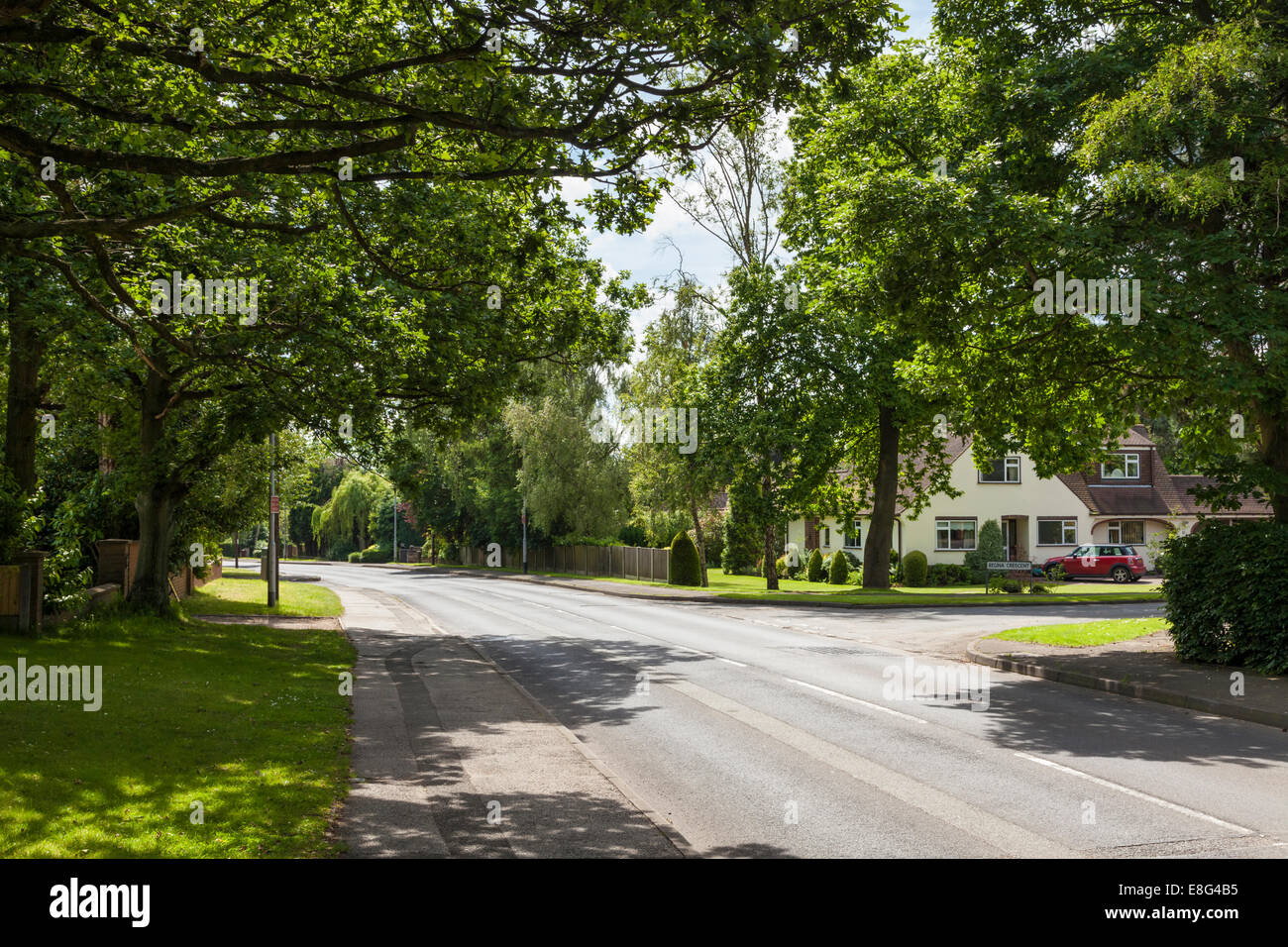 Grüne Straße. Von Bäumen gesäumten Straße im Dorf Ravenshead, Nottinghamshire, England, Großbritannien Stockfoto