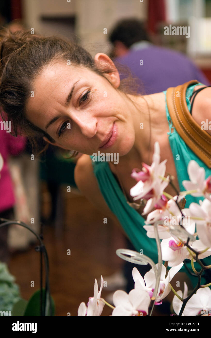 Frau durchlesen Orchideen auf Anzeige an eine Blume zeigen, vier Marken, in der Nähe von Alton, Hampshire, UK. Stockfoto