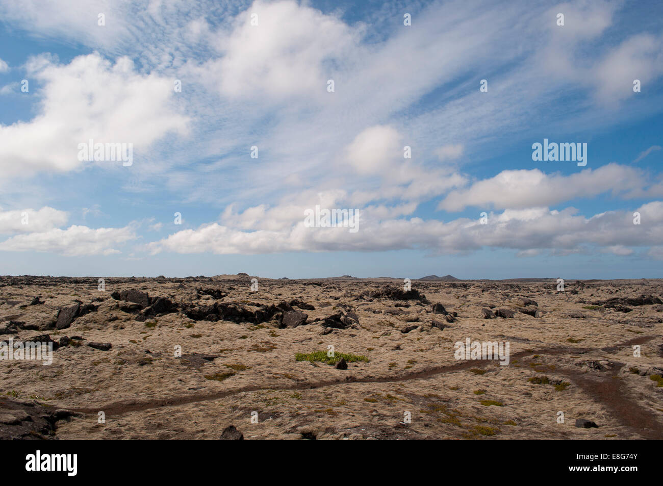 Island: Landschaft mit Lavafeldern in Reykjanes Halbinsel, grossen alten Lavafelder schwarze Felsen, bedeckt mit einer dicken grünen Teppich aus Moos Stockfoto
