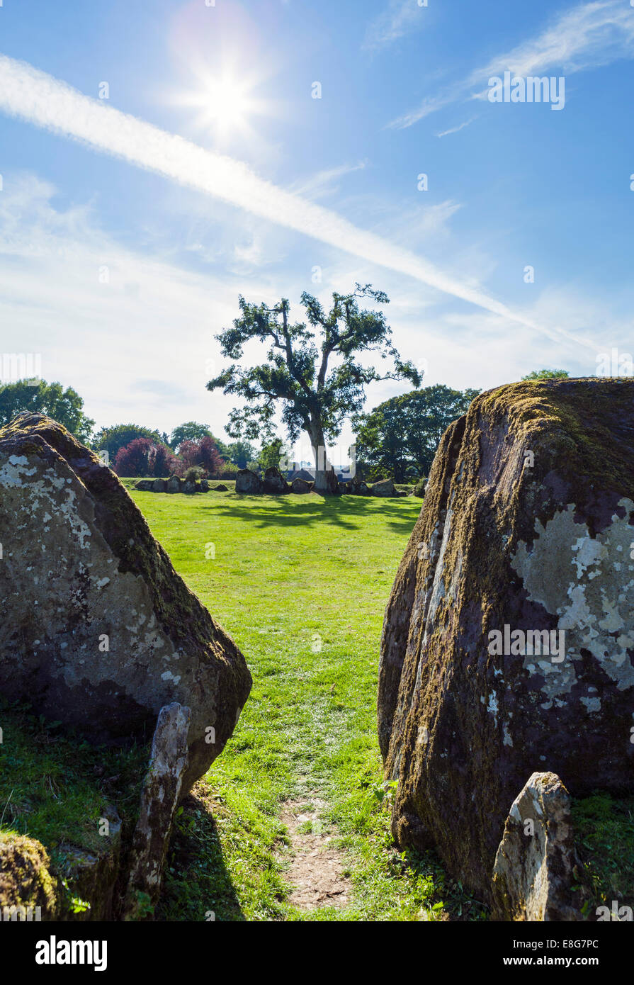 Das Grange Stone Circle, Lough Gur, County Limerick, Irland - das größte stehende Steinkreis in Irland Stockfoto