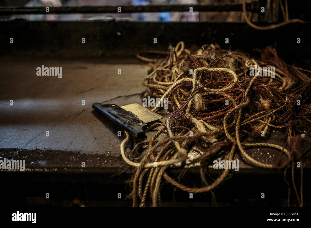 J ist F J Baker Großbritanniens einzig verbliebene traditionelle Eichenrinde Gerberei Stockfoto