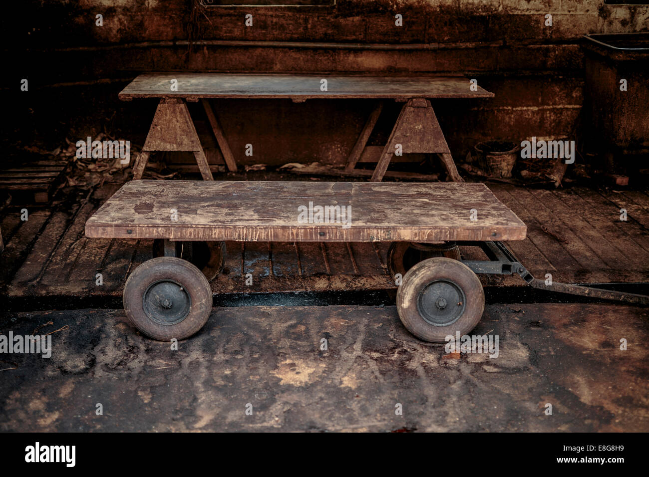 J ist F J Baker Großbritanniens einzig verbliebene traditionelle Eichenrinde Gerberei Stockfoto