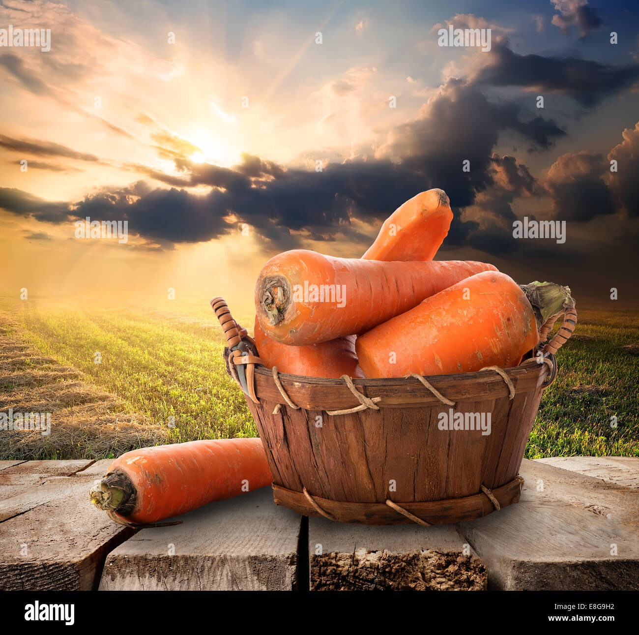 Karotte in einem Korb auf Tisch und Landschaft Stockfoto