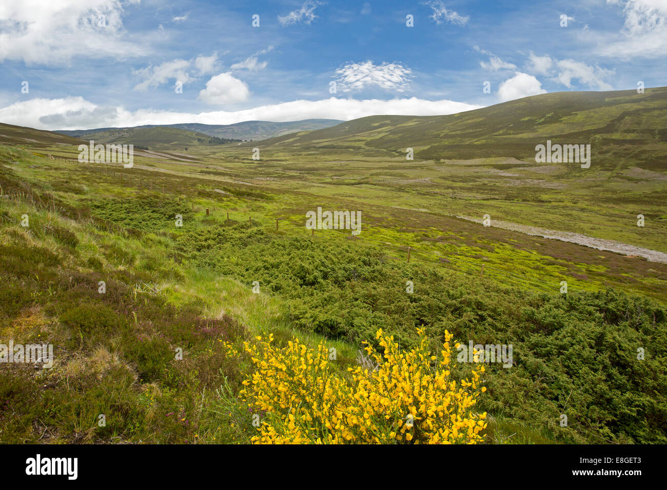 Weiten Blick Cairngorms National Park, Schottland Stockfoto
