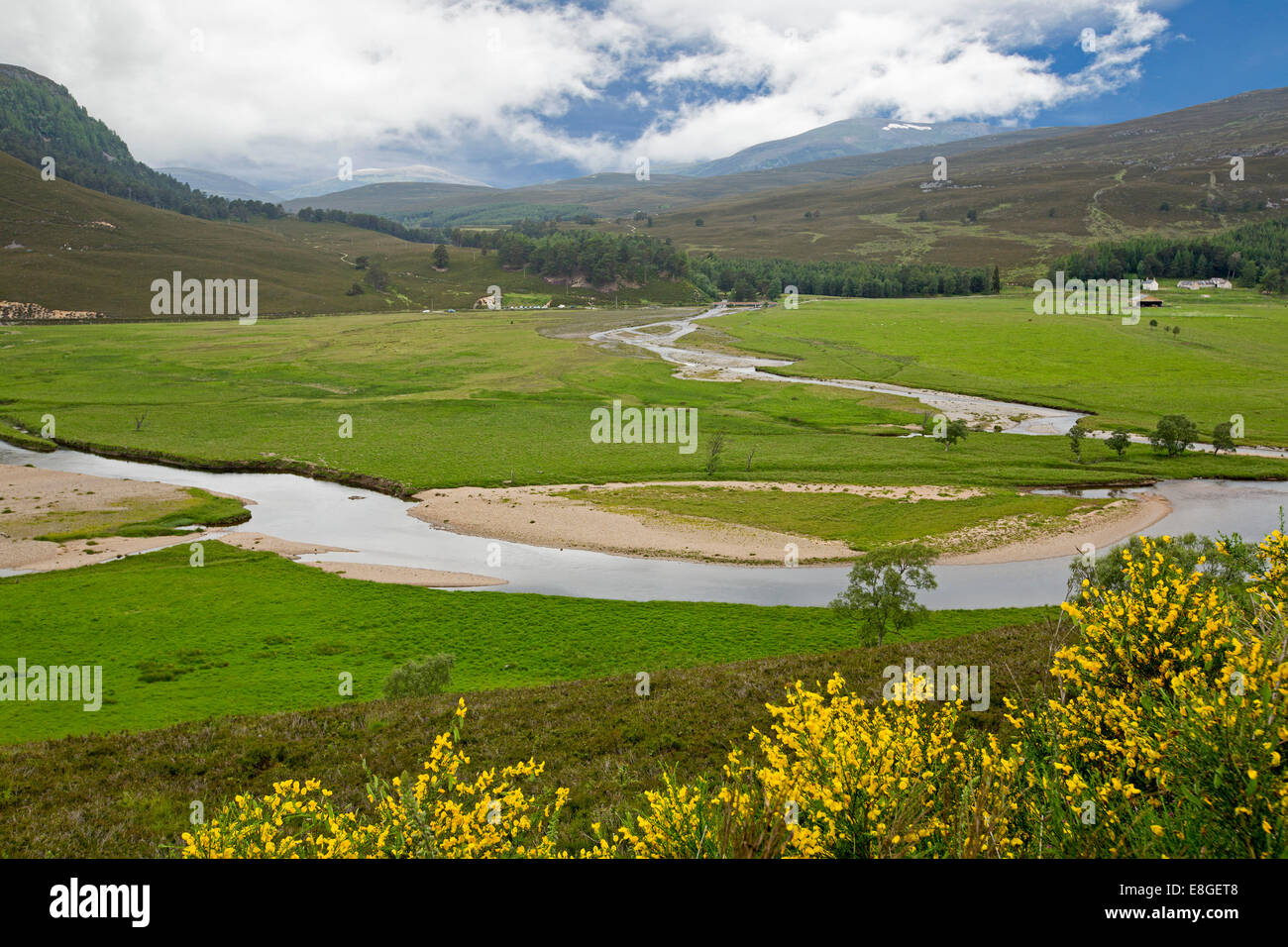 Weite Landschaft im schottischen Hochland, goldene Wildblumen, River Dee, smaragdgrünes Tal, Wälder & Bergen unter nebligen blauen Himmel Stockfoto