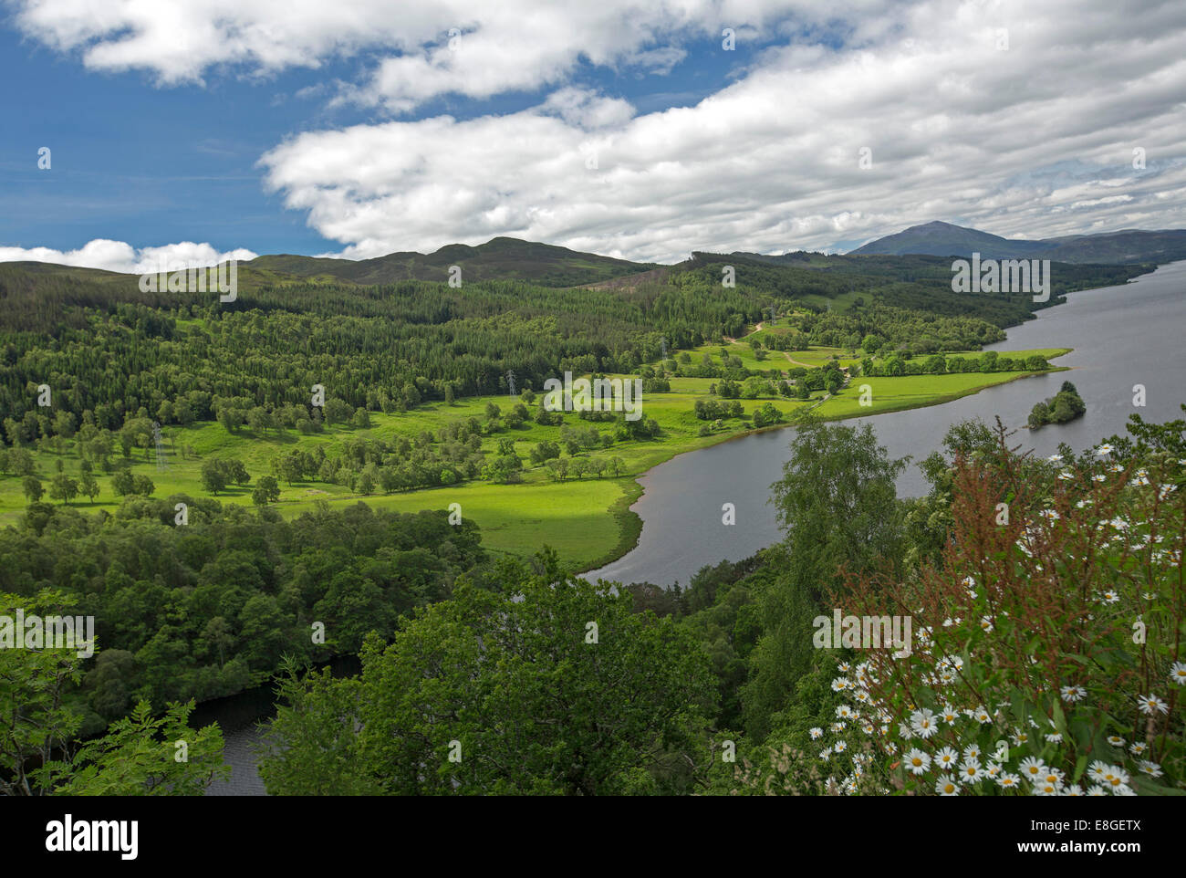 Atemberaubende weite Landschaft der Wildblumen, Loch Tummel, Wälder und fernen Berge von Queens View Lookout Pitlochry Schottland Stockfoto