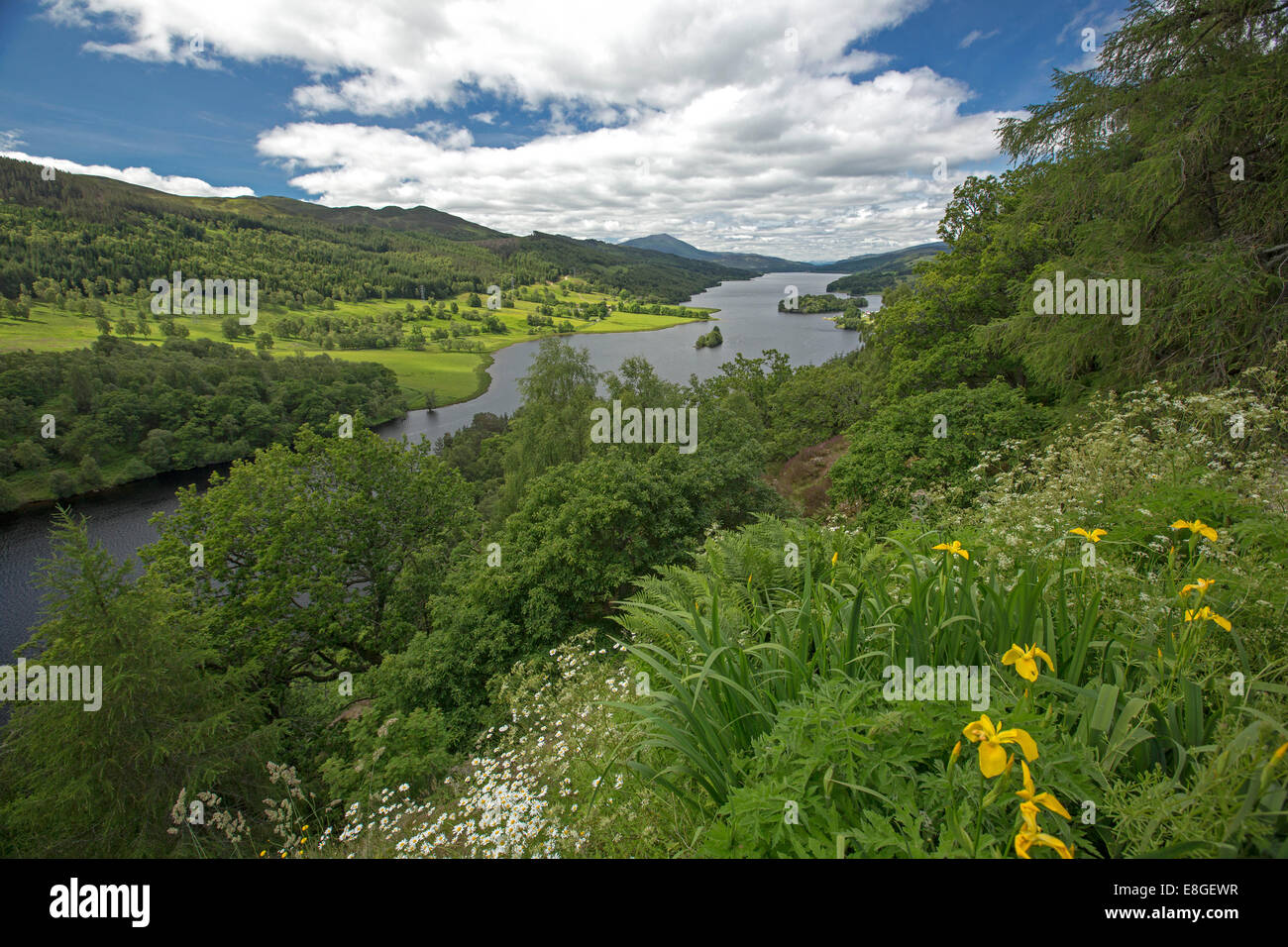 Atemberaubende weite Landschaft der Wildblumen, Loch Tummel, Wälder und fernen Berge von Queens View Lookout Pitlochry Schottland Stockfoto