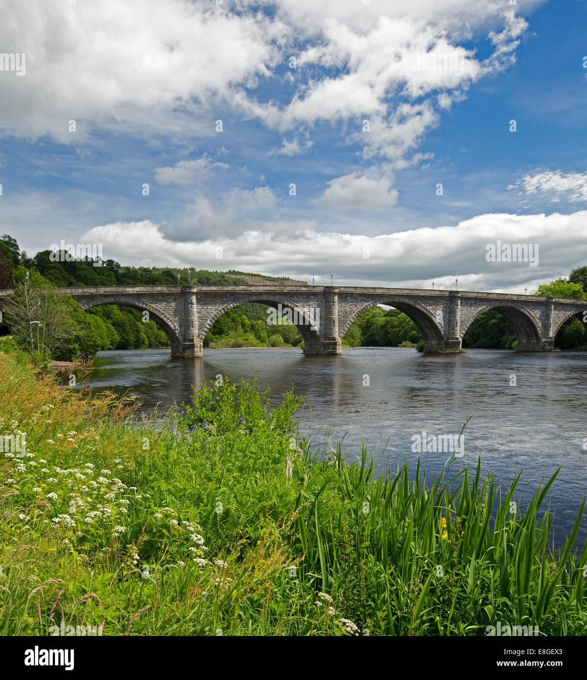 Fluss Tay & historischen 19. Jahrhundert gewölbten Brücke mit Wildblumen am Flussufer, blaue Himmel spiegelt sich im Wasser bei Dunkeld, Scotlland Stockfoto