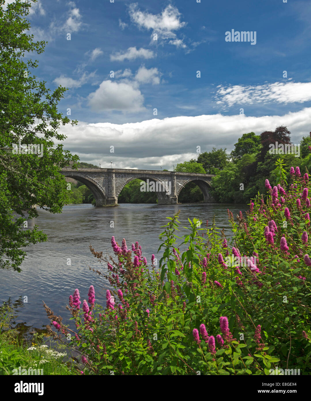 Fluß Tay & historischen 19. Jahrhundert gewölbten Brücke mit Blumen am Flussufer, blaue Himmel spiegelt sich im Wasser bei Dunkeld, Scotlland Stockfoto