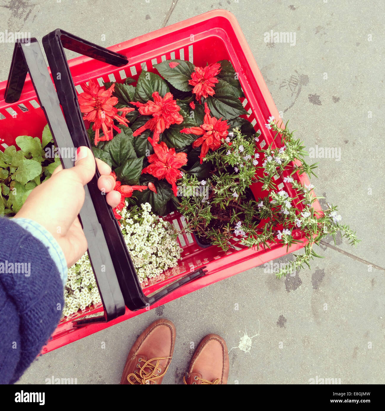 Mann trägt einen Warenkorb mit Blumen Stockfoto