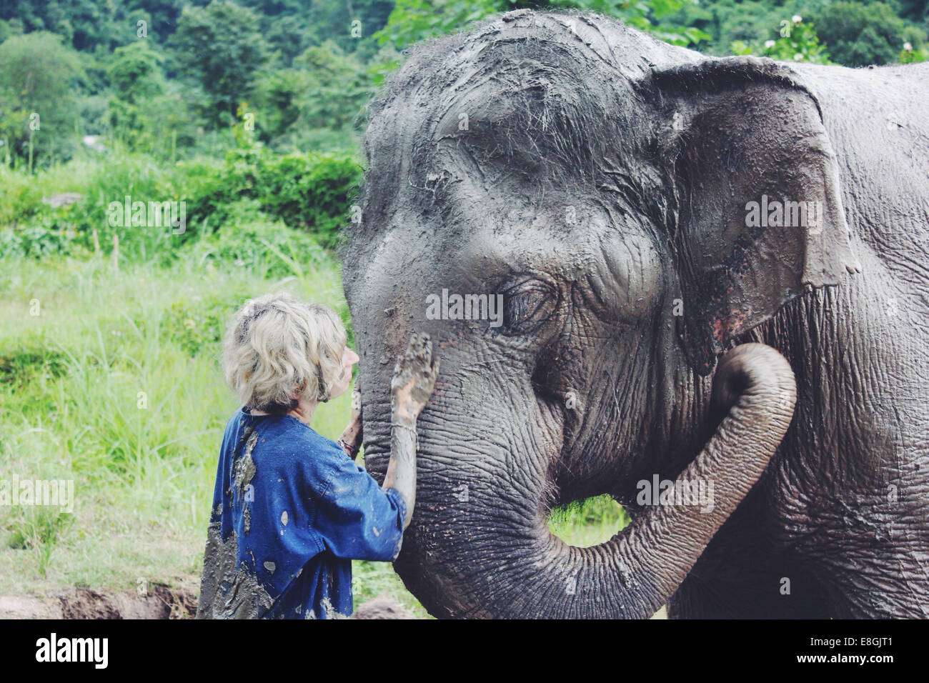 Thailand, Frau waschen Elefant Stockfoto