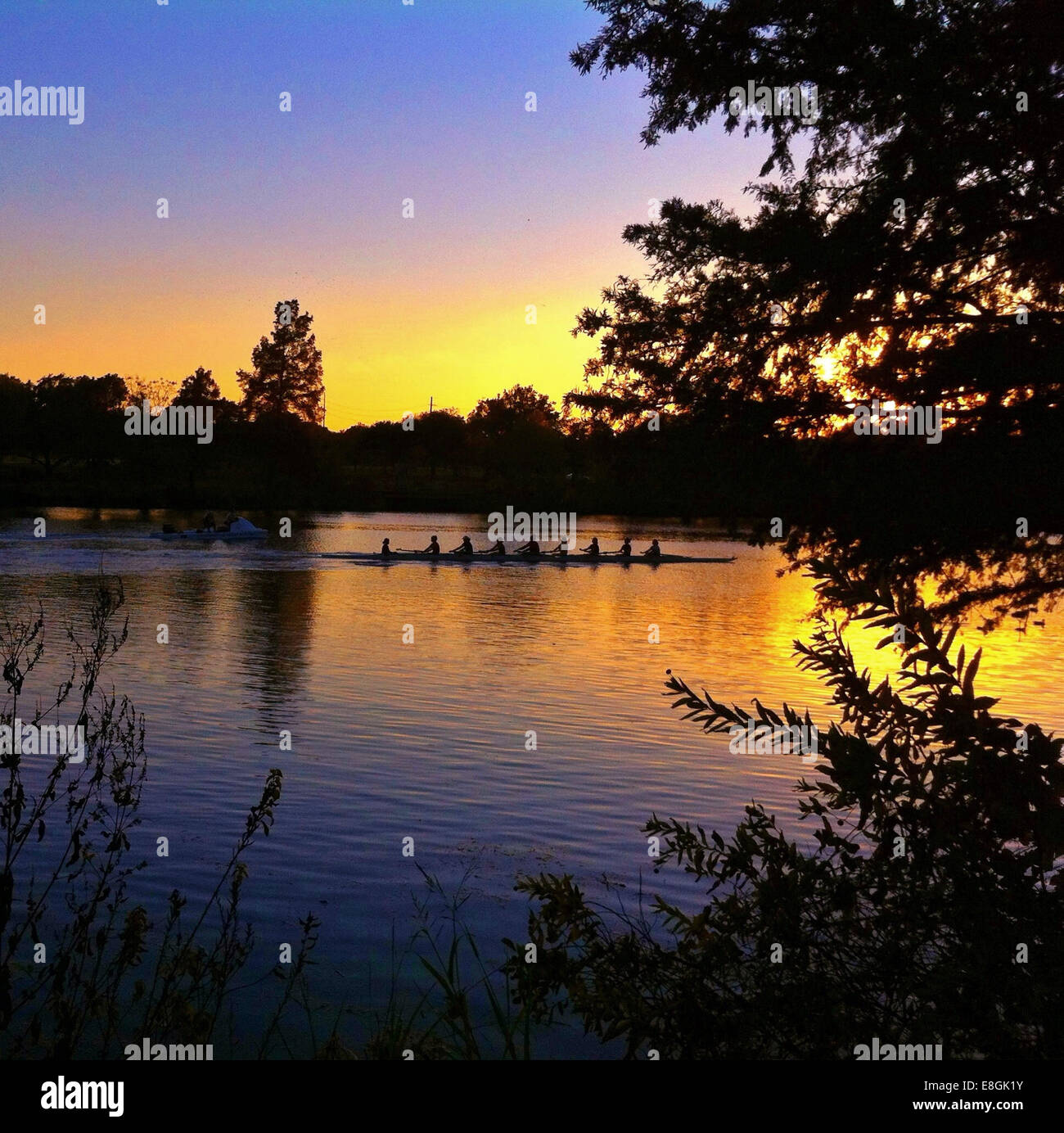 USA, Texas, Austin, Rudern Team üben bei Sonnenuntergang Stockfoto