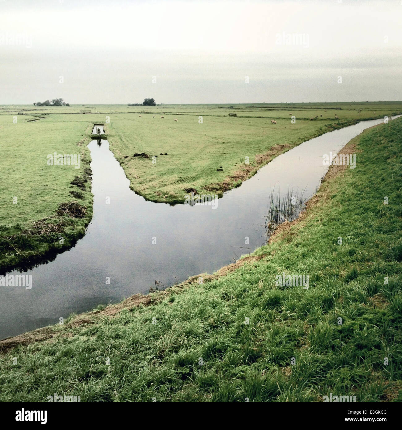 Landschaft mit Fluss und Feld Stockfoto