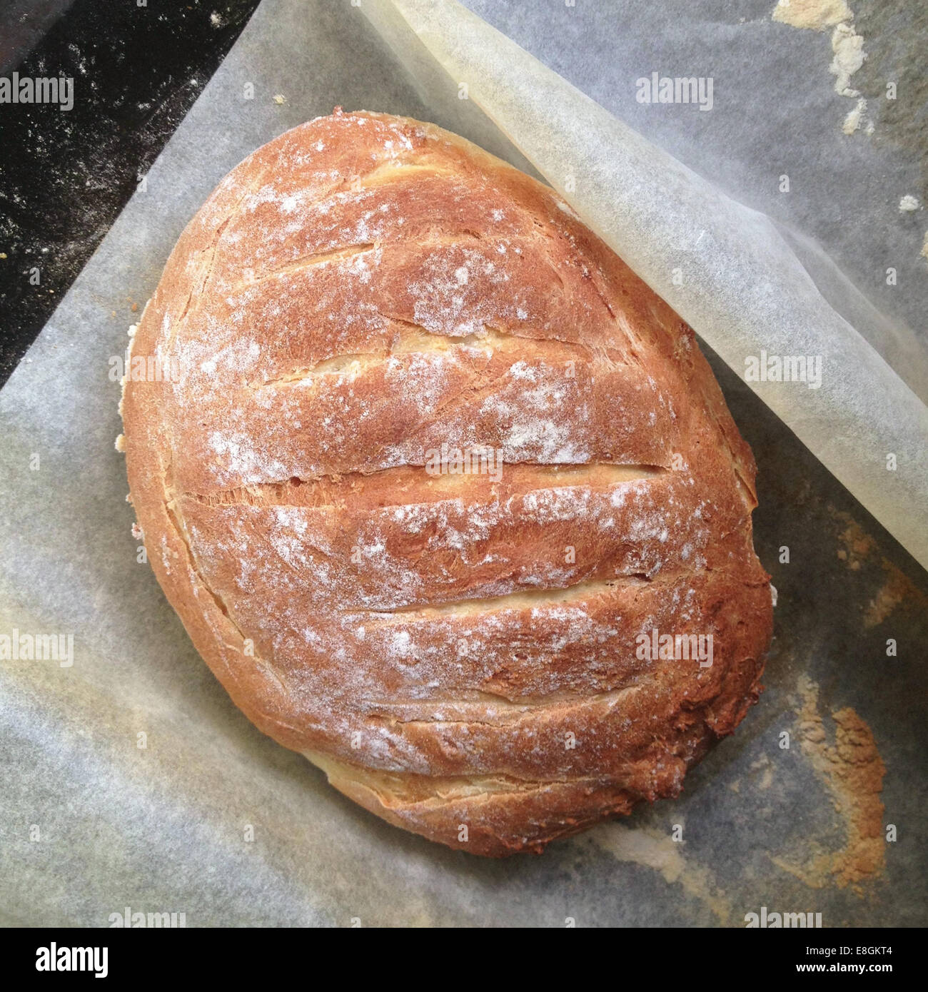 Frisch gebackenes Brot auf Backpapier Stockfoto