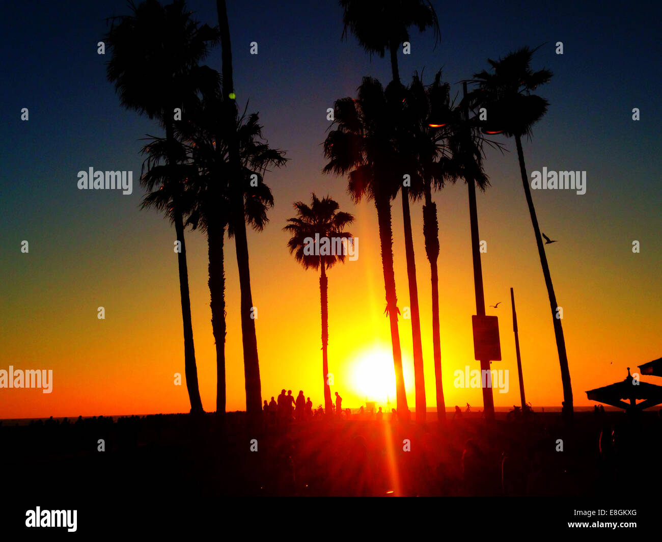 USA, California, Los Angeles, Venice Beach bei Sonnenuntergang Stockfoto