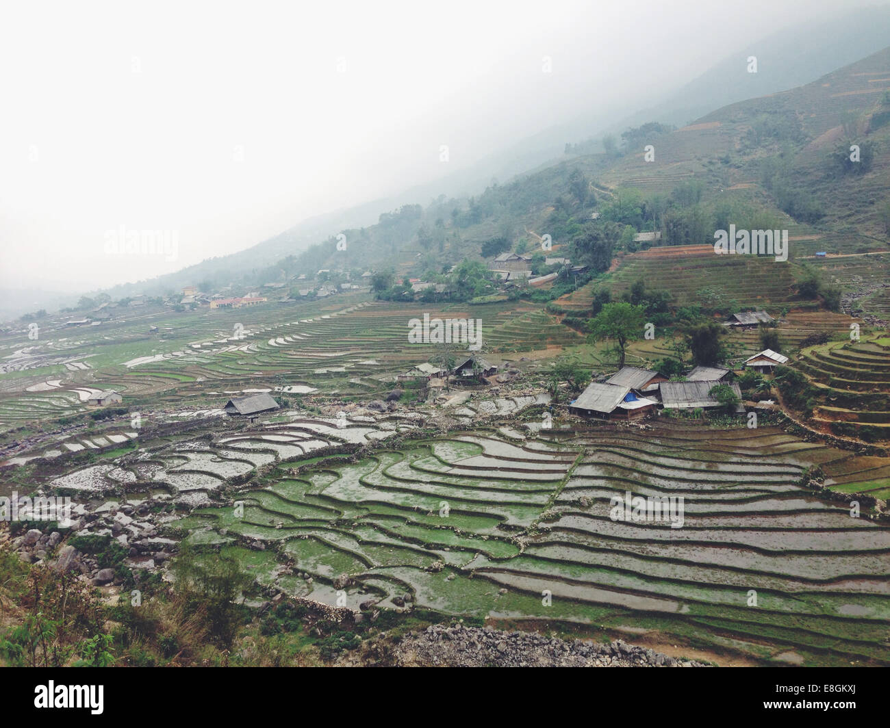 Vietnam, Lao Cai Provinz, Sa Pa, Landschaft typischen vietnamesischen Landwirtschaft Stockfoto