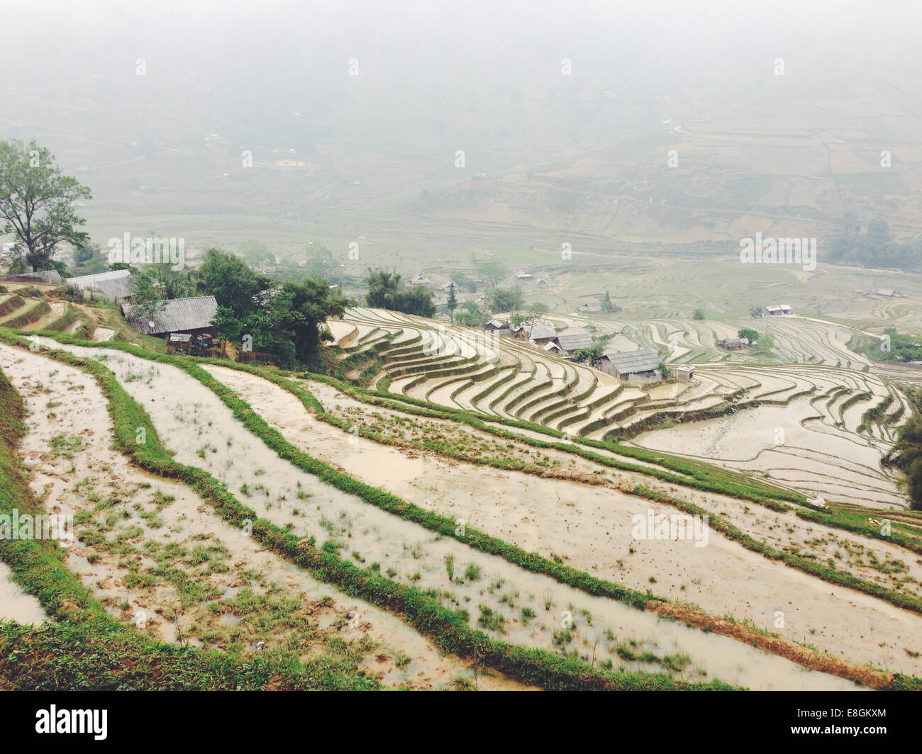 Vietnam, Lao Cai Provinz, Sa Pa, Landschaft typischen vietnamesischen Landwirtschaft Stockfoto