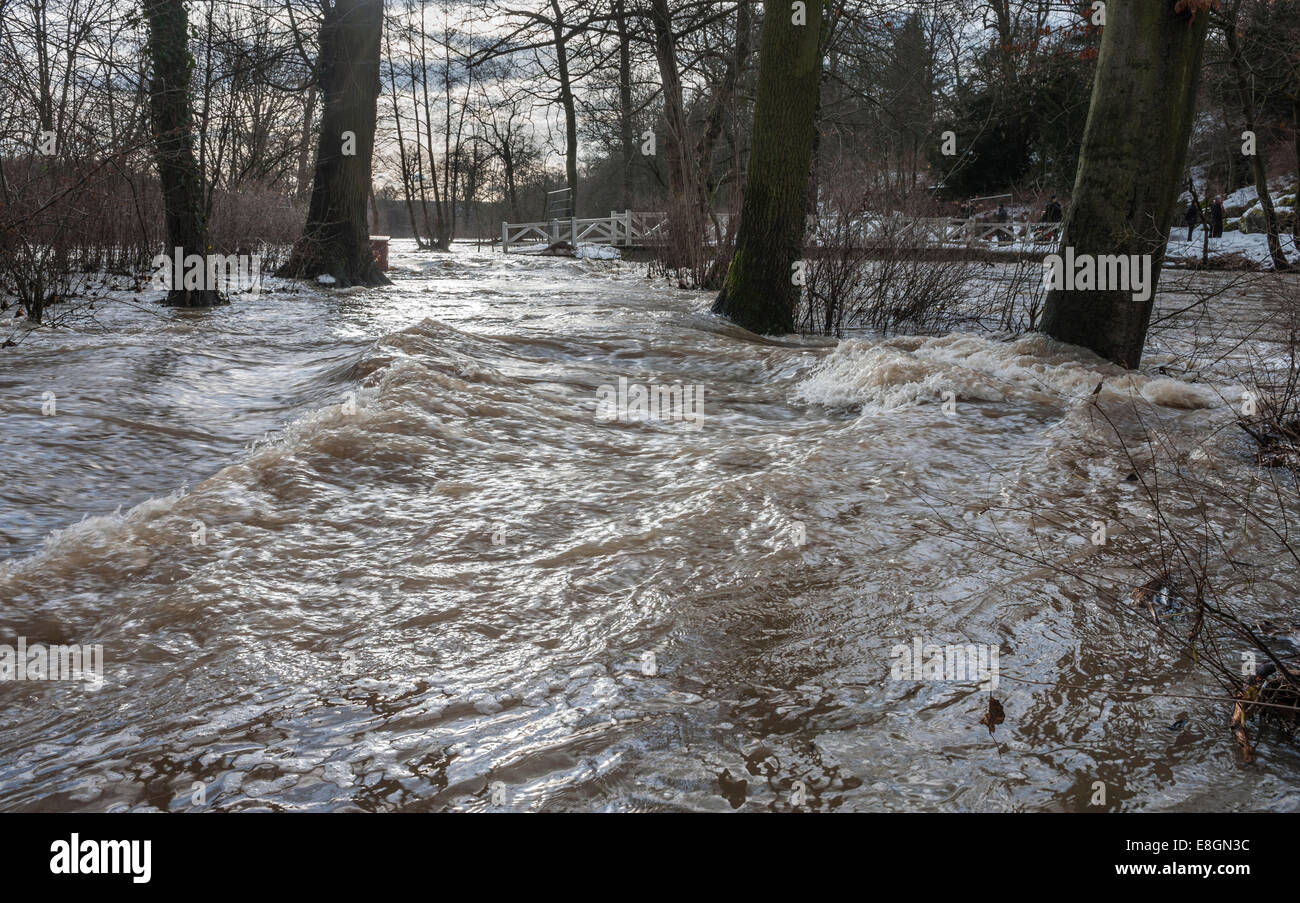 Hochwasser des Flusses Ilm Bäume verschlungen durch Wasser, Park an der Ilm Fluss, UNESCO-Weltkulturerbe, Weimar, Thüringen Stockfoto