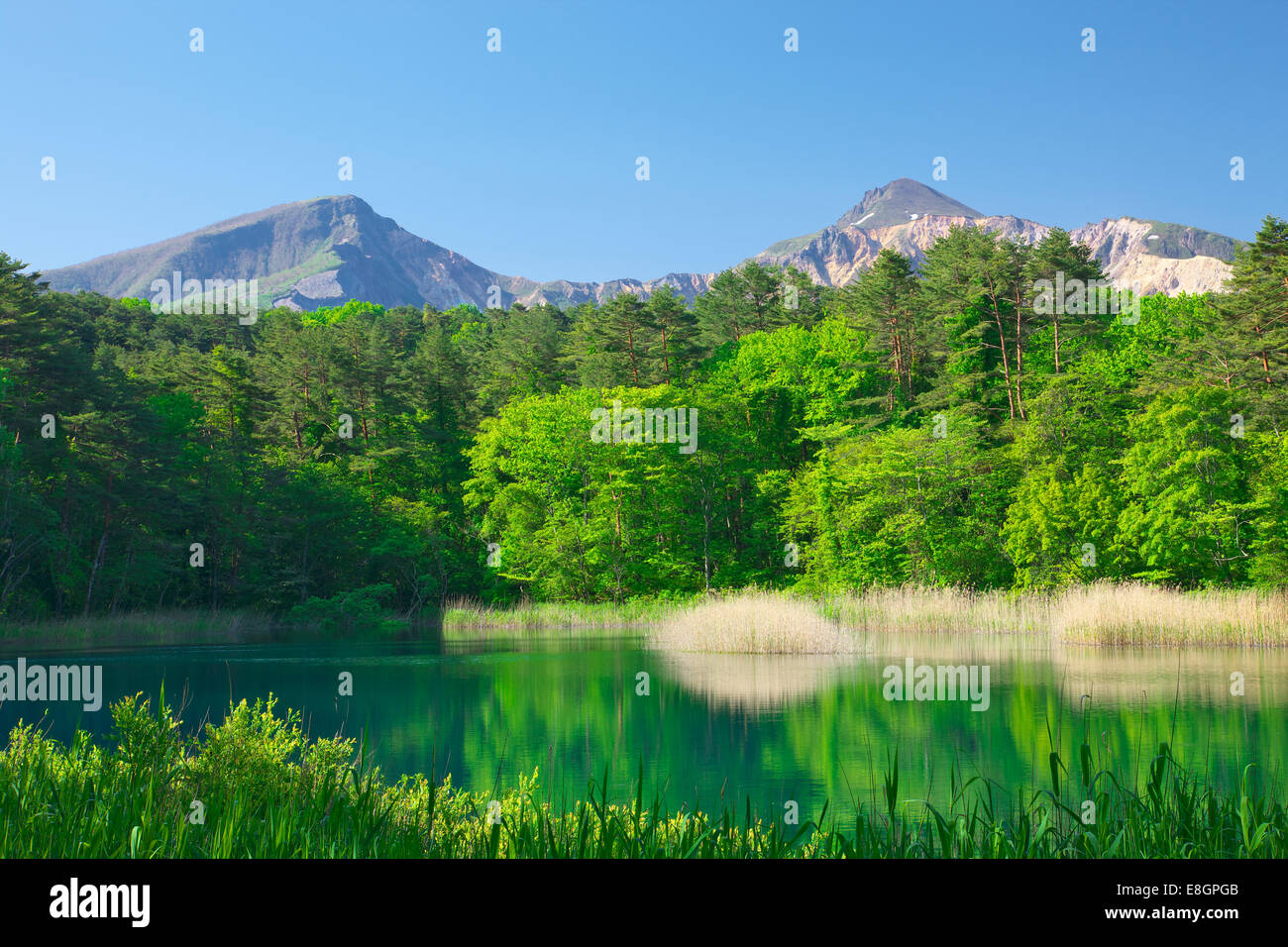 Bandai-Asahi-Nationalpark, Fukushima Präfektur, Japan Stockfoto