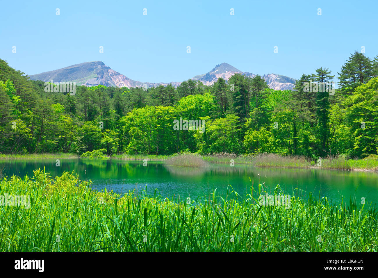 Bandai-Asahi-Nationalpark, Fukushima Präfektur, Japan Stockfoto