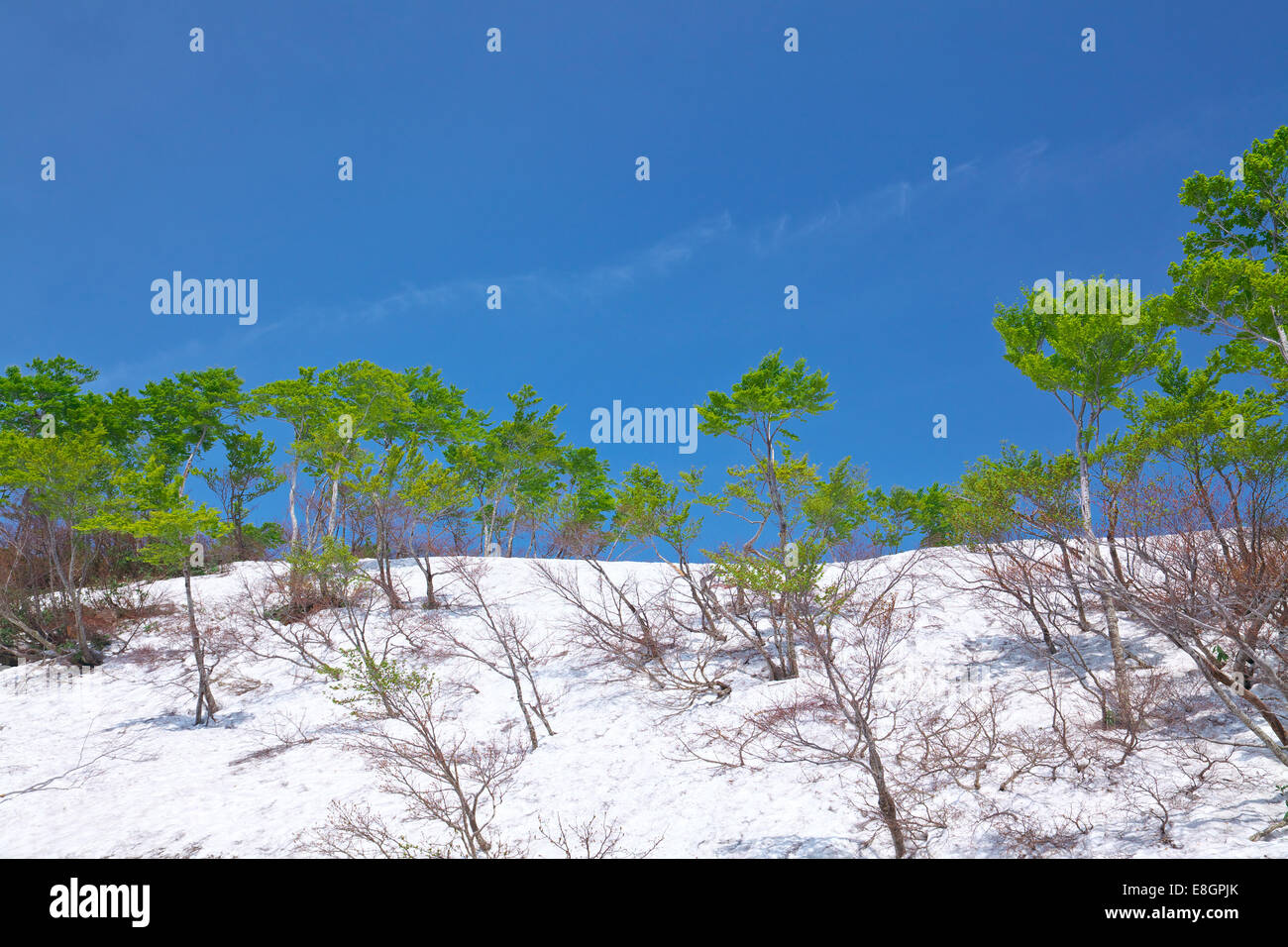 Präfektur Akita, Japan Stockfoto