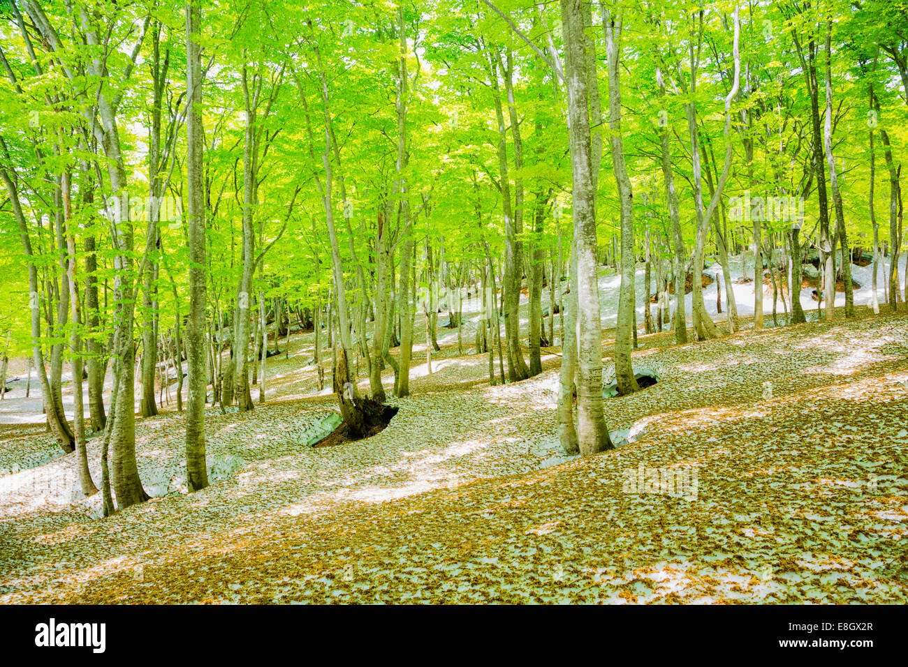 Bandai-Asahi-Nationalpark, Fukushima Präfektur, Japan Stockfoto