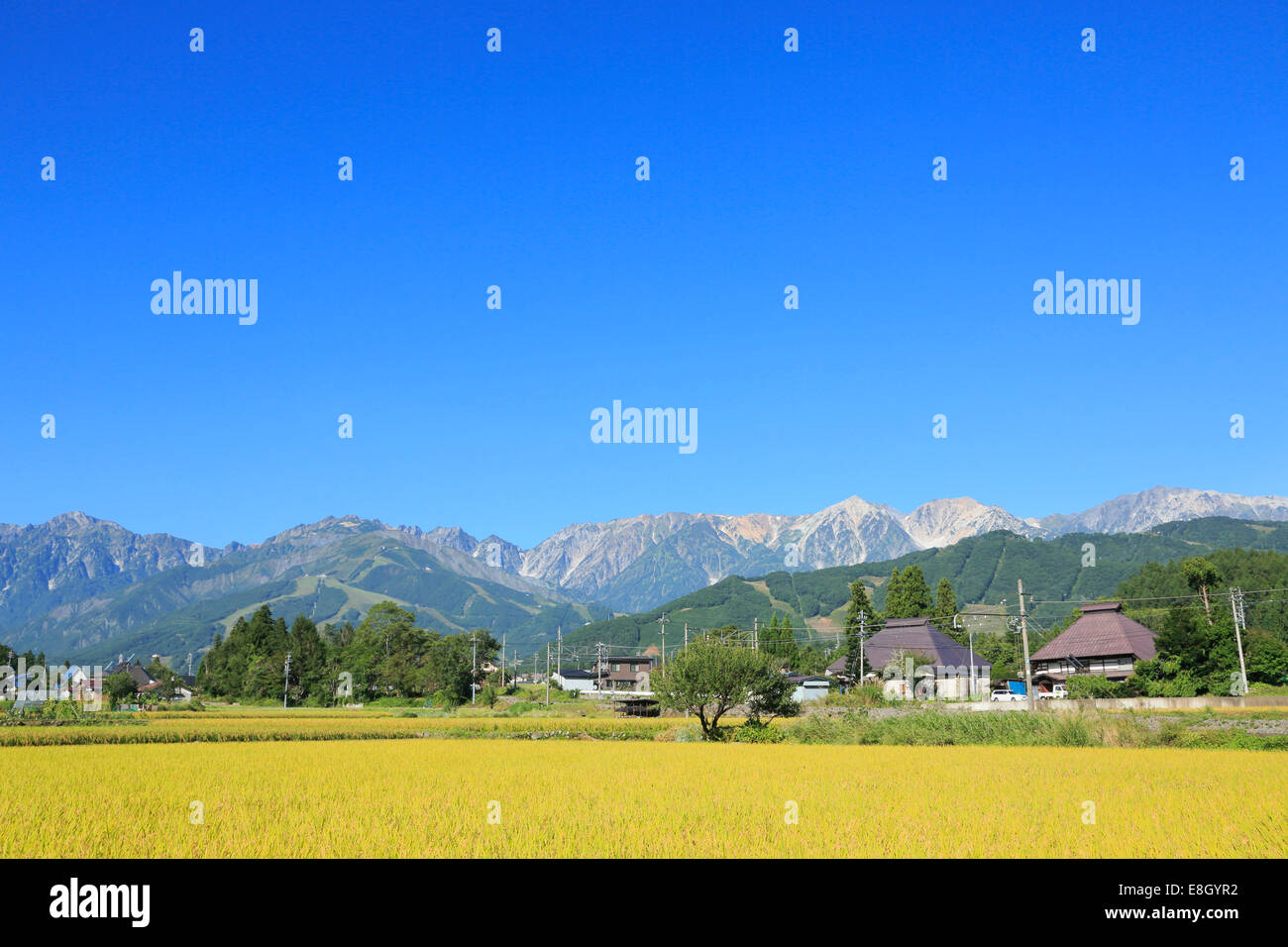 Präfektur Nagano, Japan Stockfoto