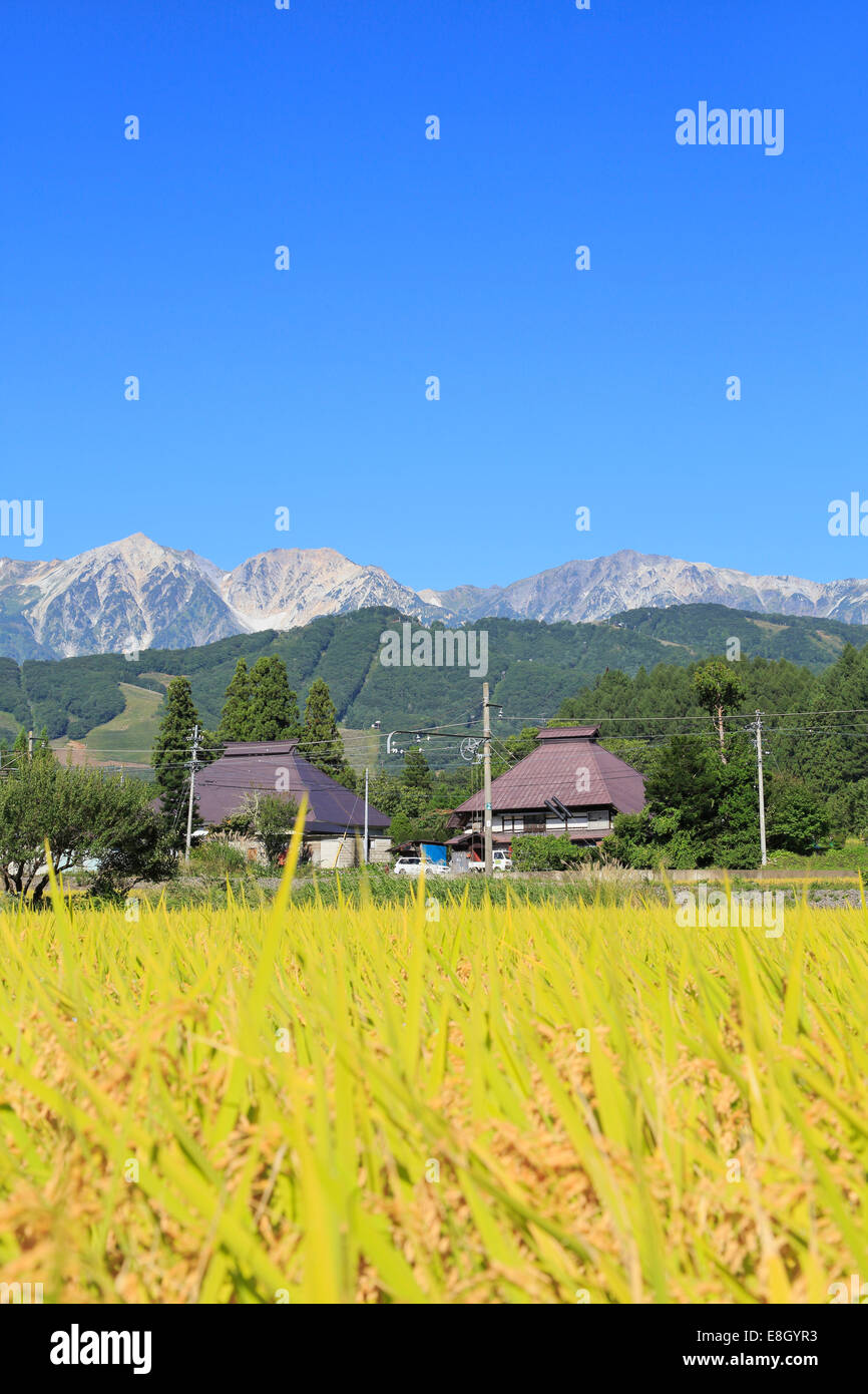 Präfektur Nagano, Japan Stockfoto